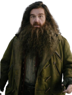 Nick Frost Harry Potter Rubeus Hagrid Coat - Image 3